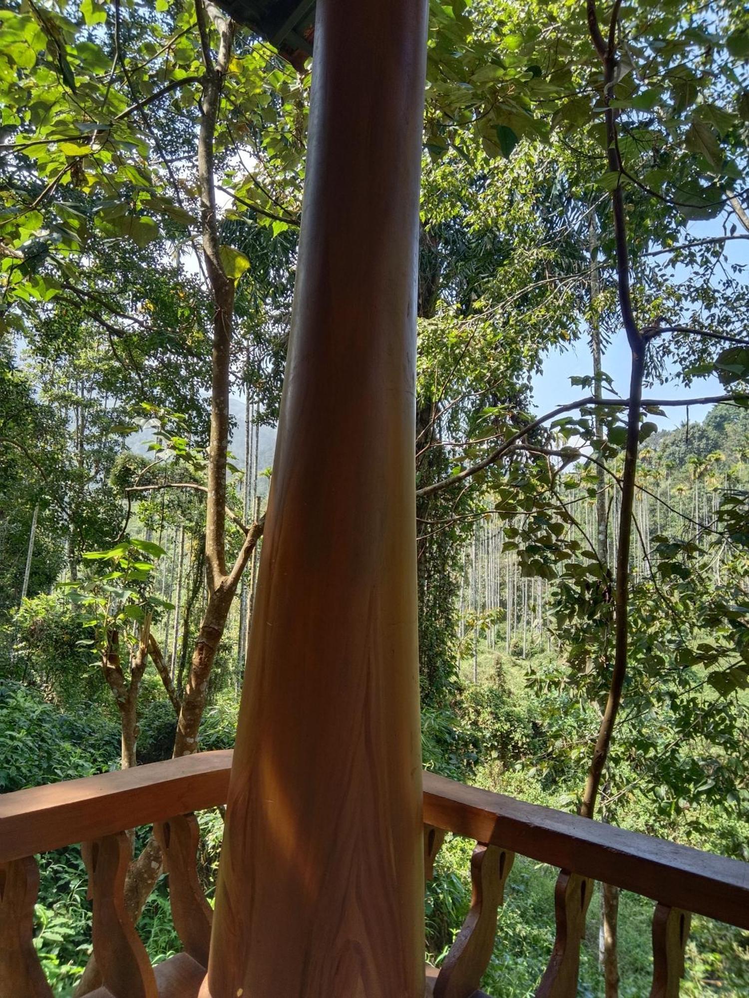 Jungle Valley Ayurvedic Spa Resort Meppādi Exterior foto