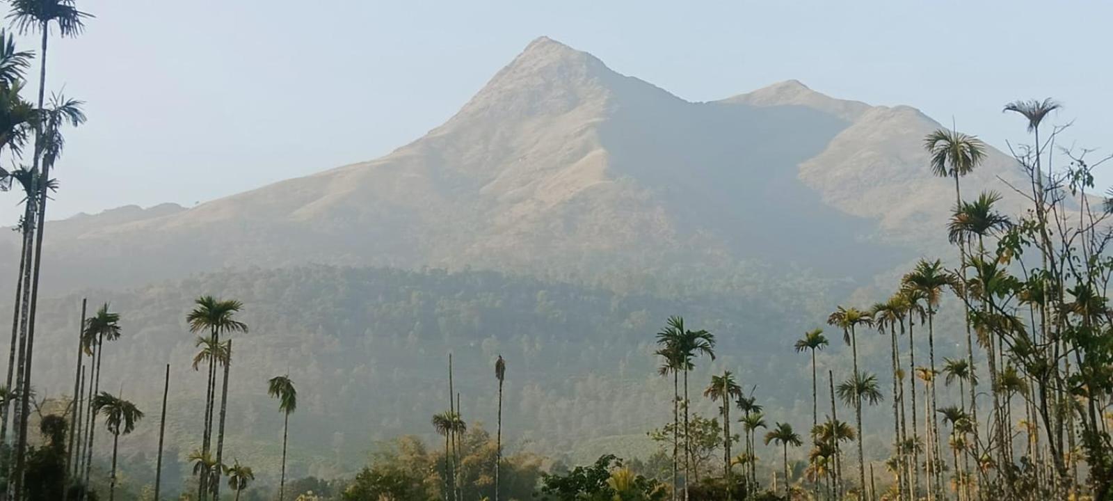 Jungle Valley Ayurvedic Spa Resort Meppādi Exterior foto